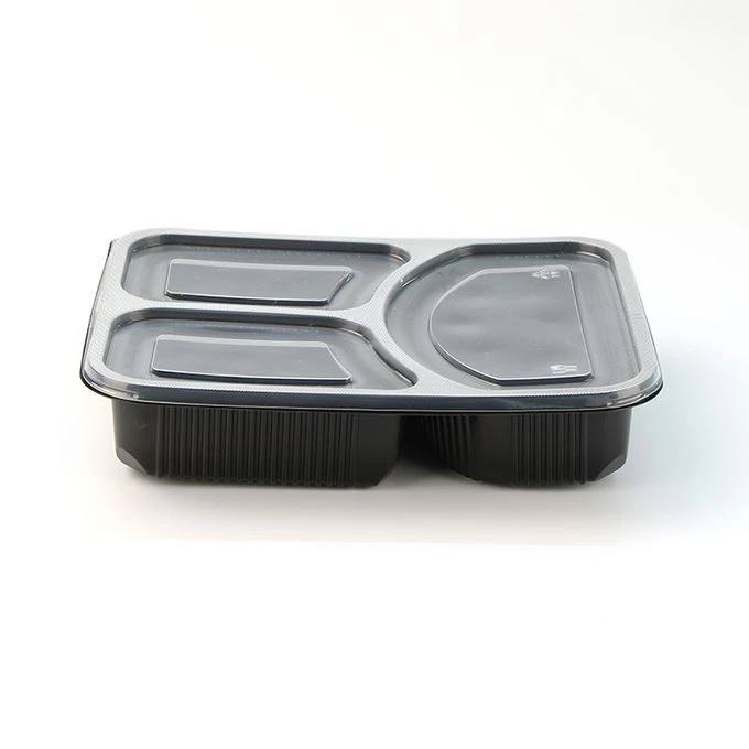 Adult Lunch Box