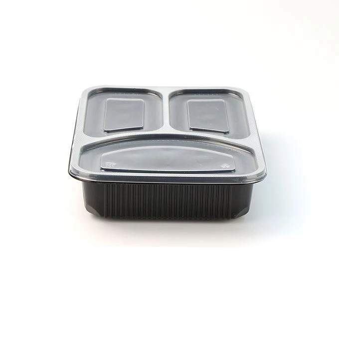 Adult Lunch Box