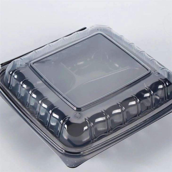 Disposable Food Storage Container
