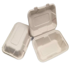To Go Containers Βαγάσσης μιας χρήσης