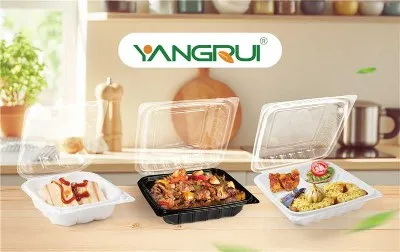 Hinged Clamshell Food Containers Hinged Clamshell Food Containers