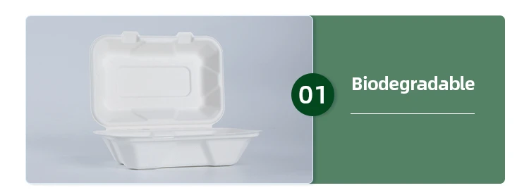 eco friendly takeaway containers eco friendly takeaway containers