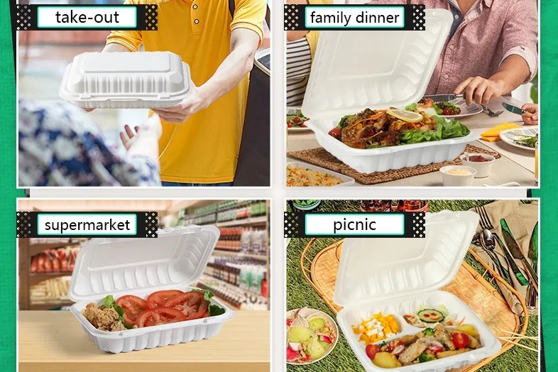 hinged food containers.jpg